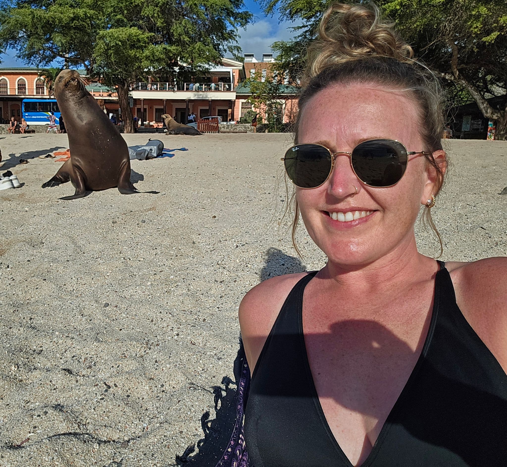 Sea lion sitting on a sandy beach near a woman taking a selfie at Playa Mann, San Cristóbal Island, Galápagos, Ecuador.