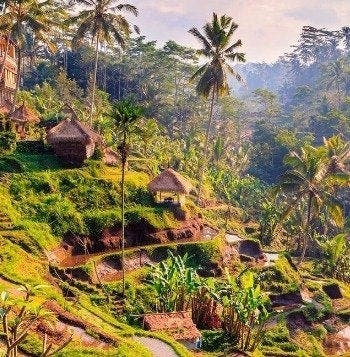 Adventures in Java & Bali Paradise 