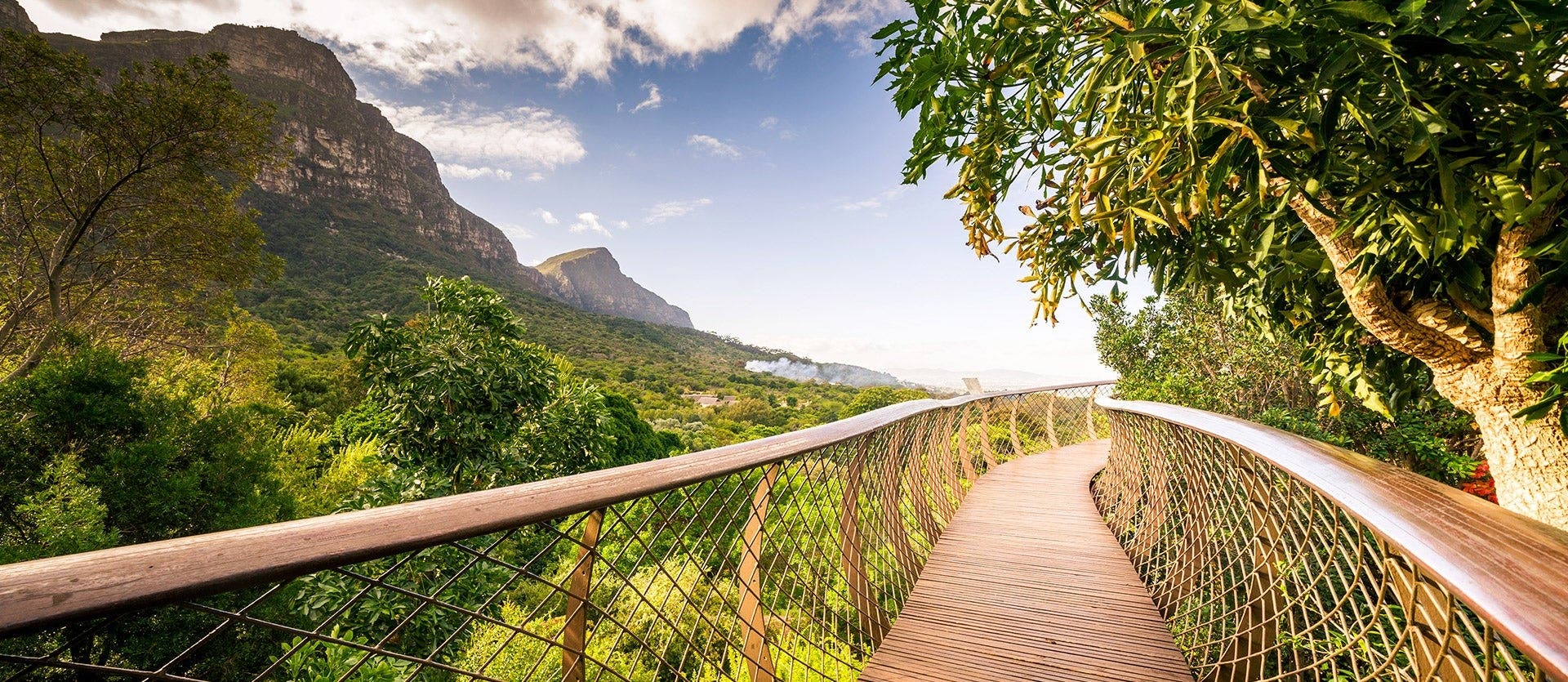 Cape & Kruger Explorer 