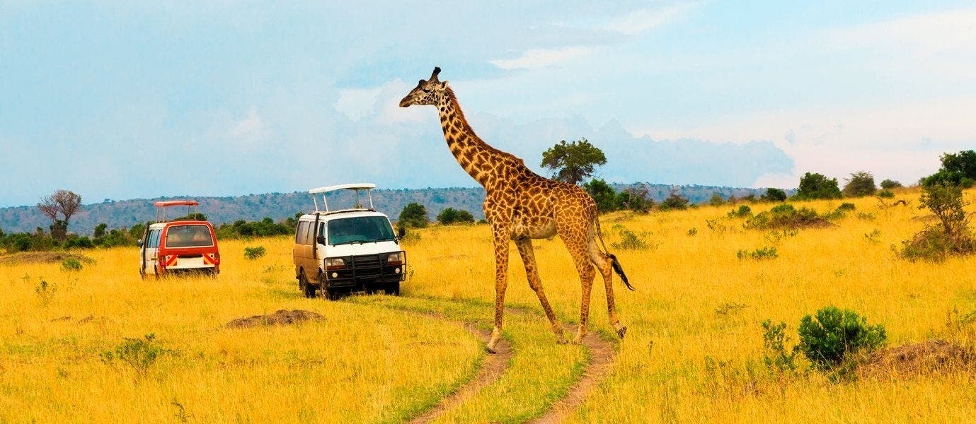 Luxury Safari & All-Inclusive Zanzibar 