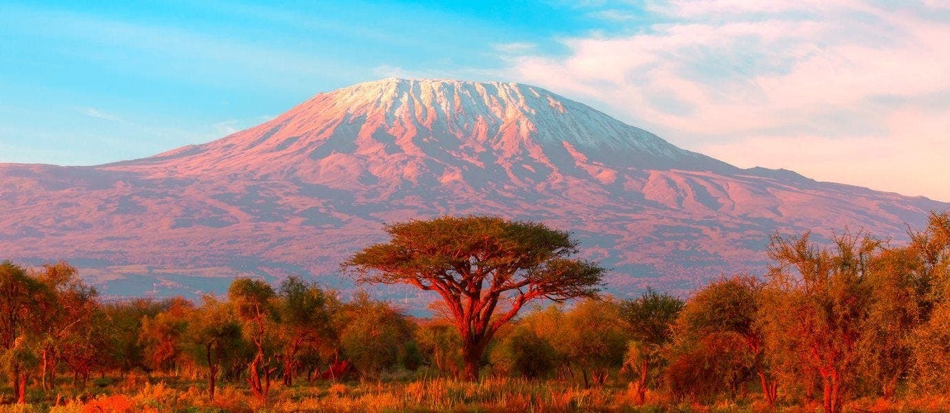 Luxury Safari & All-Inclusive Zanzibar 