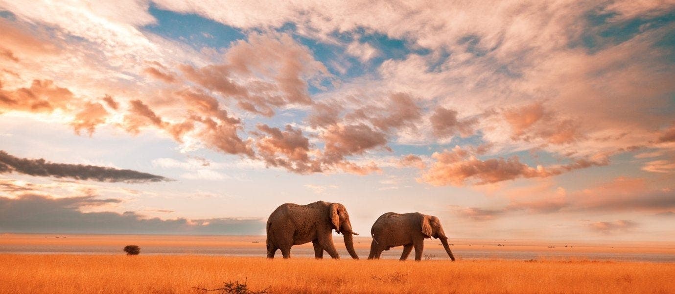 Luxury Safari & All-Inclusive Zanzibar 