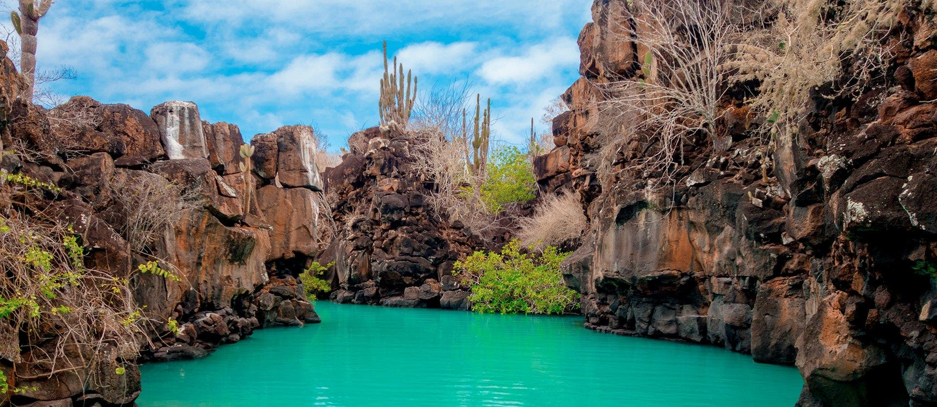 Into the wild: Galapagos & Isabela Island