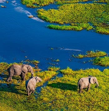 Waterfalls, Wild Chobe & Okavango Safari