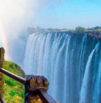 Wild Savannah & Victoria Falls