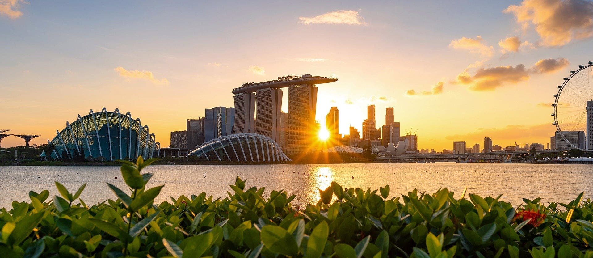 Singaporean Lights & Thai Island Delights