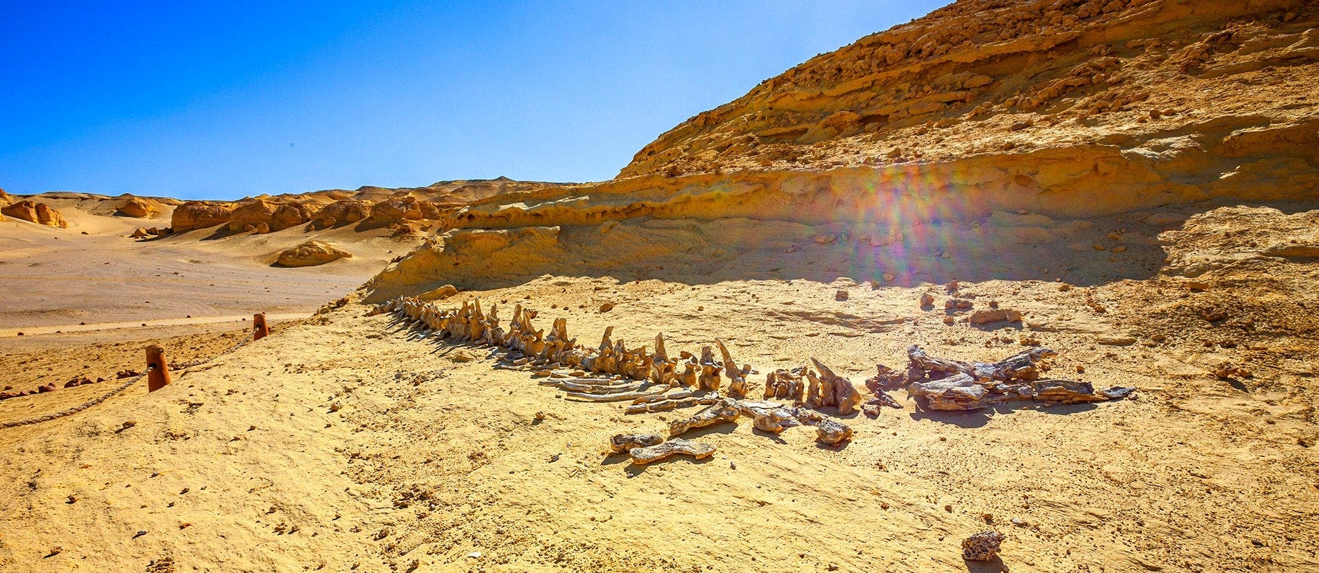 Pyramids, Nile Cruise & White Desert