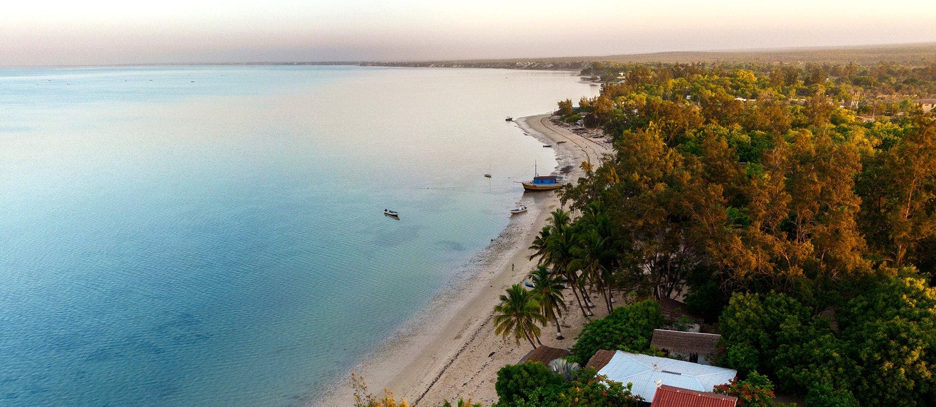 Lemurs, baobabs & Malagasy coast