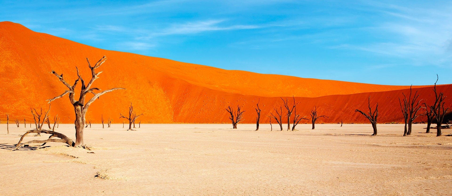 Das faszinierende Namibia: Dünen und Baums