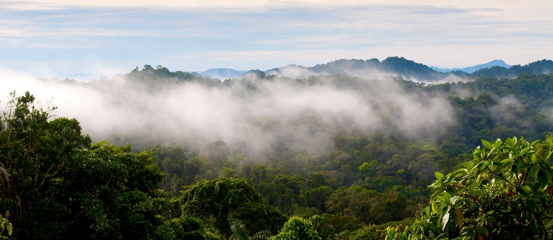 Panamas Highlights: Kanal, Boquete & Bocas