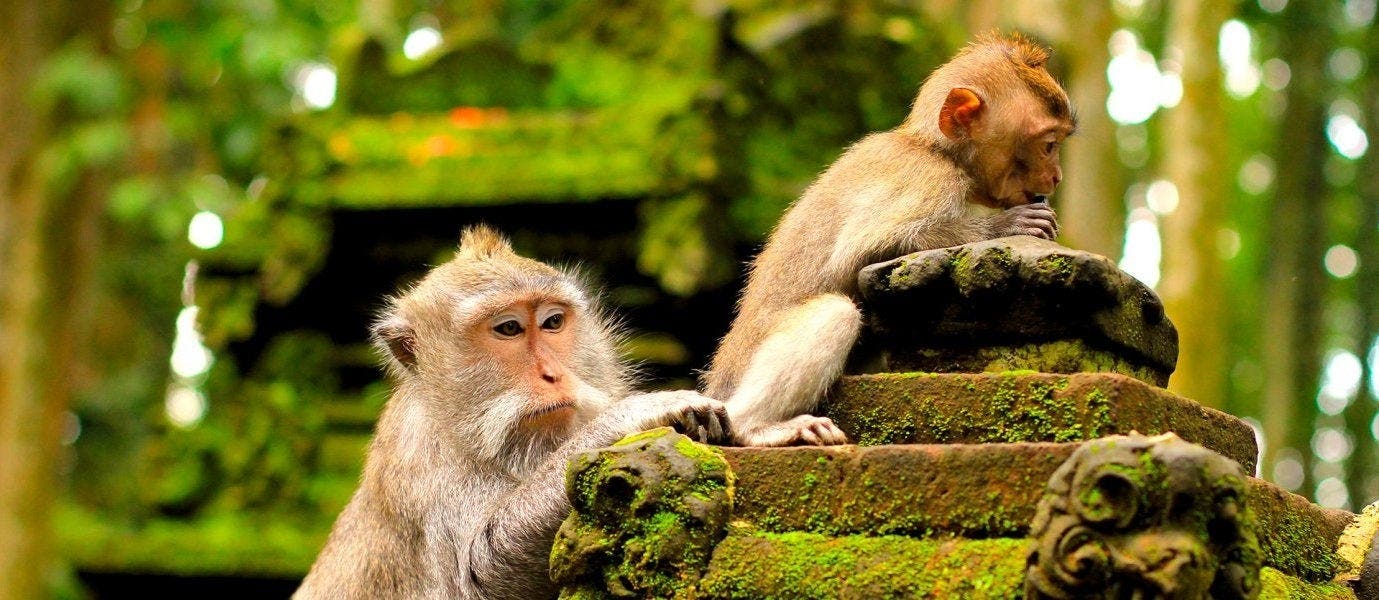 Erlebnisreise mit Badeaufenthalt