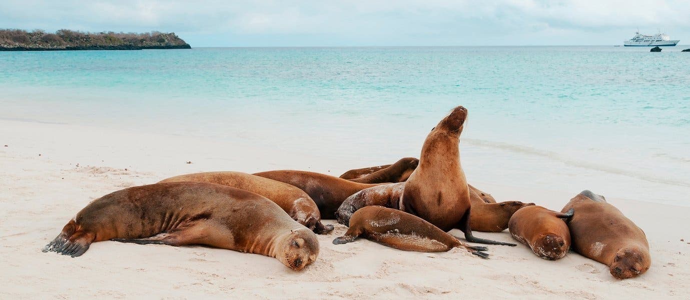 Amazonasabenteuer & Galapagosparadies