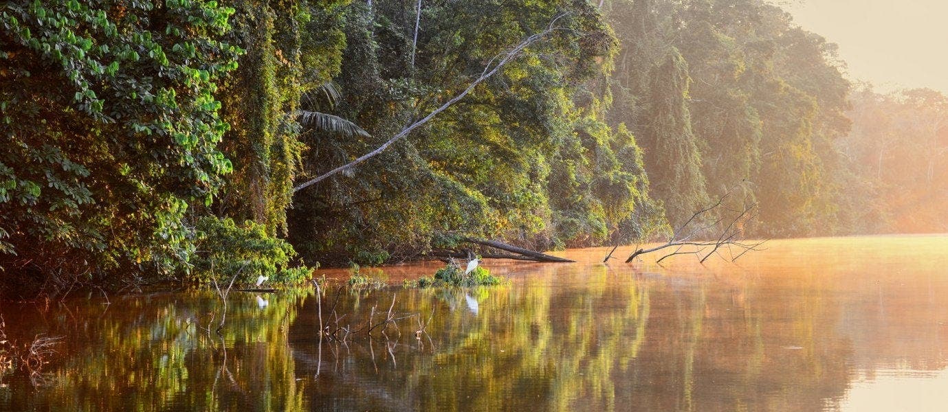 Amazonasabenteuer & Galapagosparadies