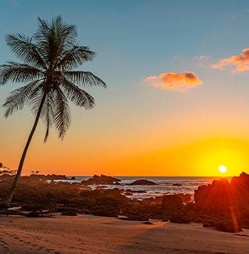 Pura Vida y Paraíso en Tamarindo