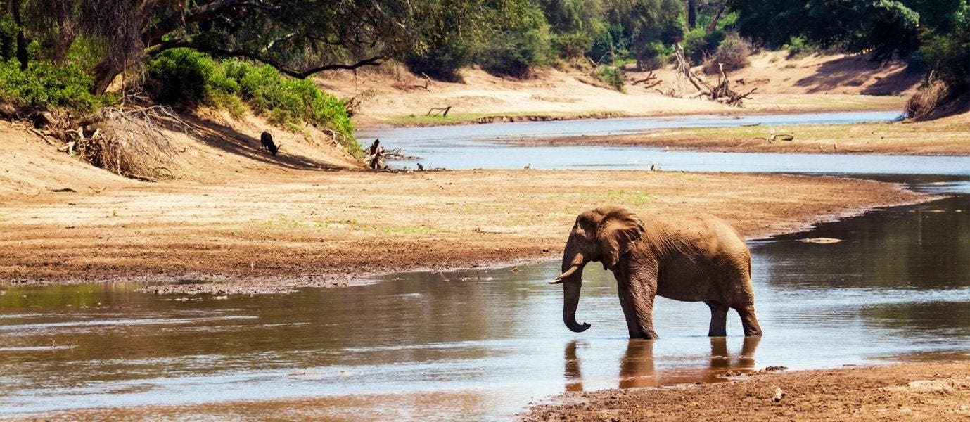 Safari en Kruger y Ciudad del Cabo