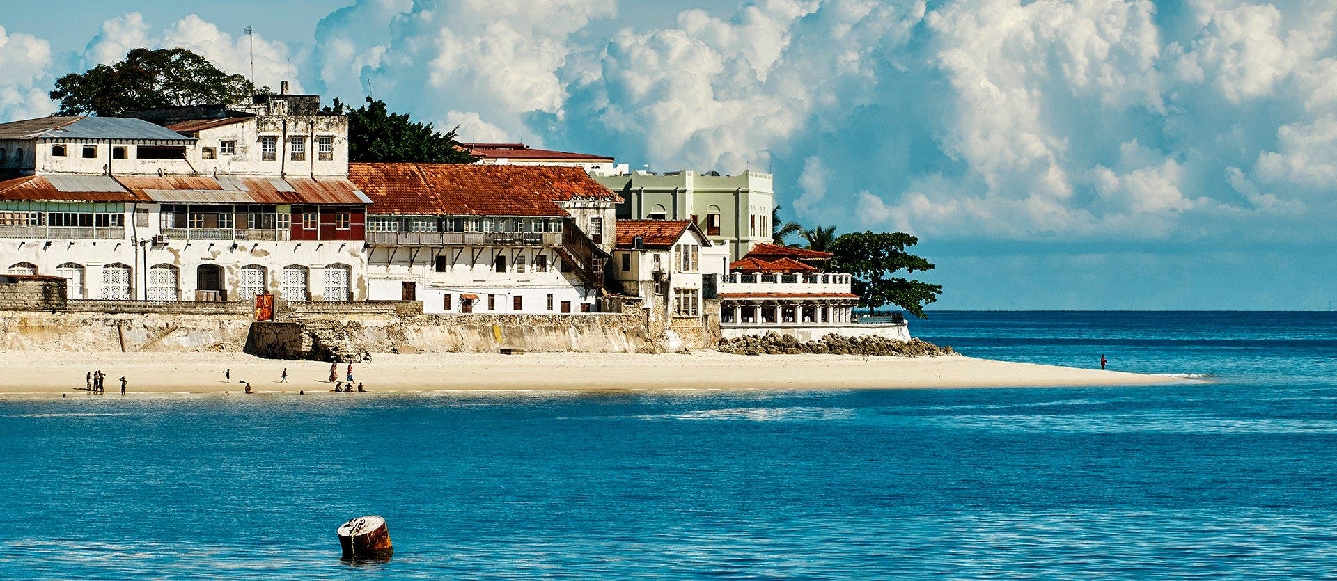 Kruger, Ciudad del Cabo y Zanzíbar