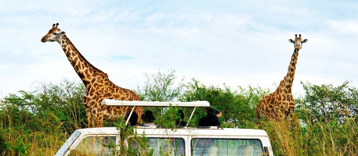 Aventura africana de lujo