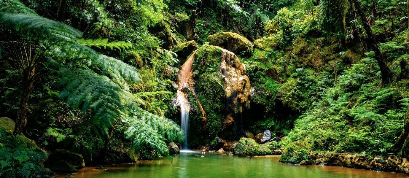 Aventura en la Isla Verde del Atlántico