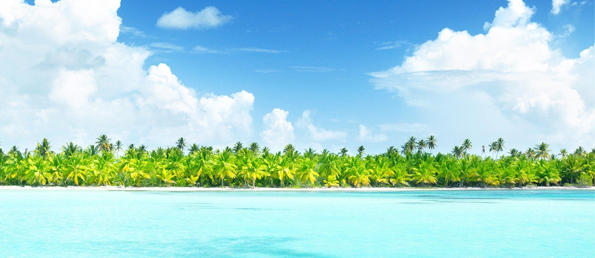 Paraíso en Punta Cana Todo Incluido 5*