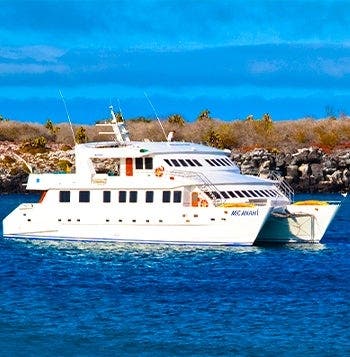 Crucero por Galápagos y Amazonas salvaje