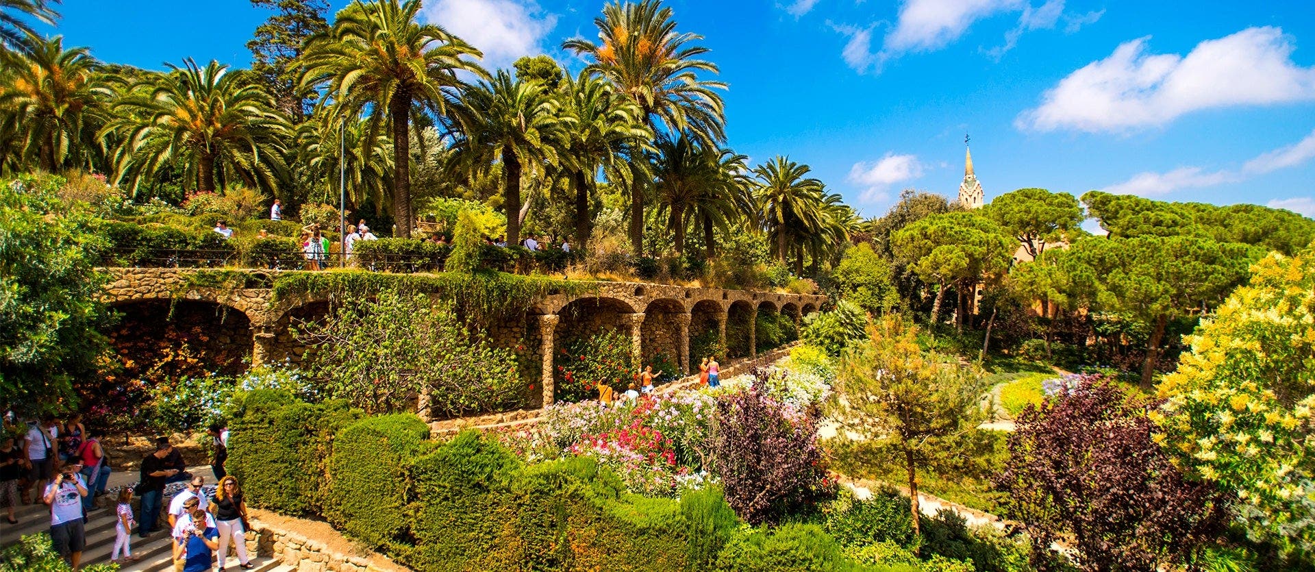 Tranvías, zocos y catedrales