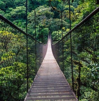 Panamá 360: una aventura tropical