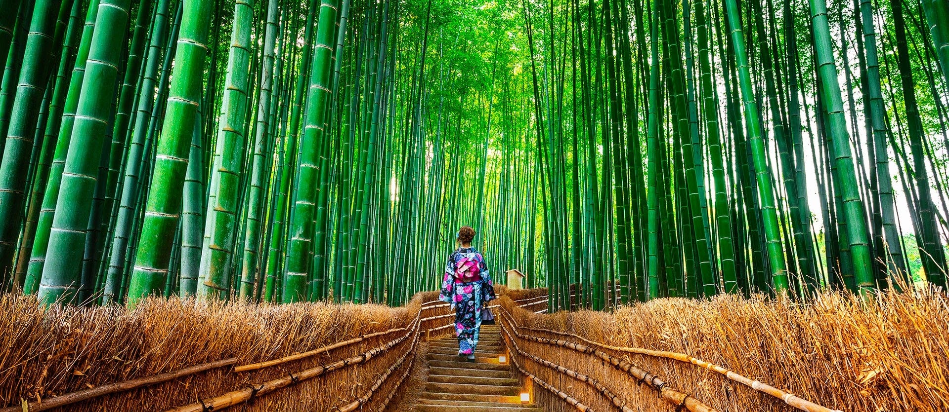 Japón semiguiado: metrópolis y tradición
