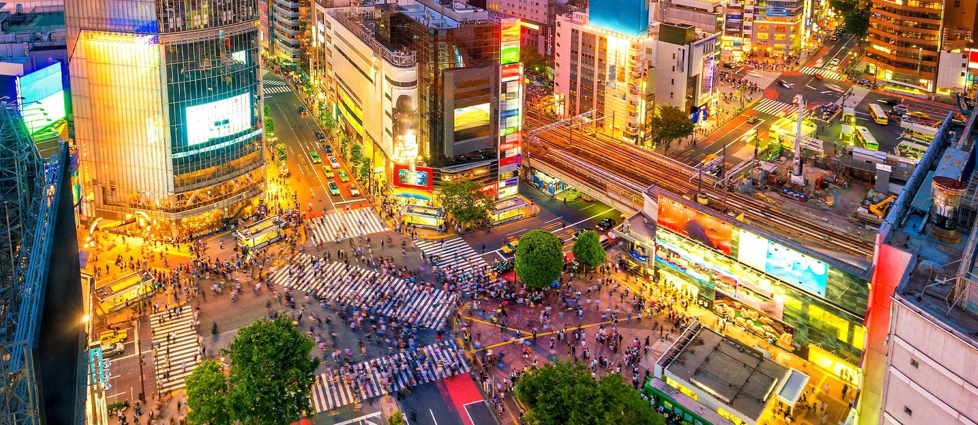 Japón semiguiado: metrópolis y tradición