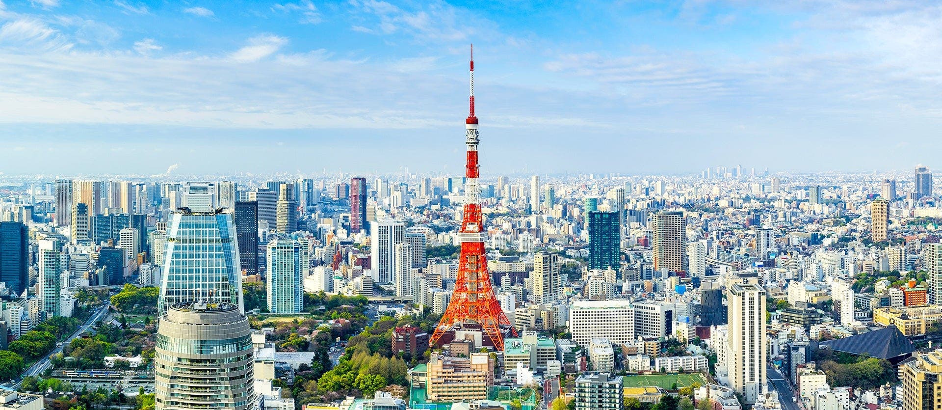 Japón semiguiado: metrópolis y tradición
