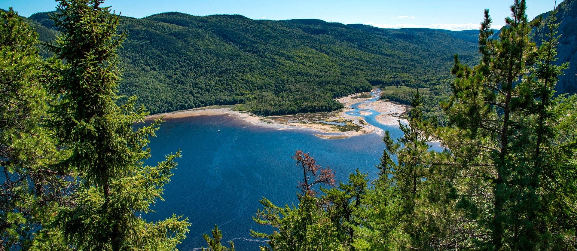 La esencia nativa del este de Canadá