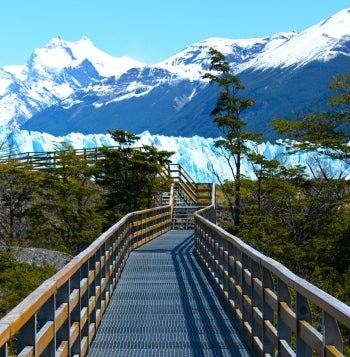 Buenos Aires, Iguazú y La Patagonia