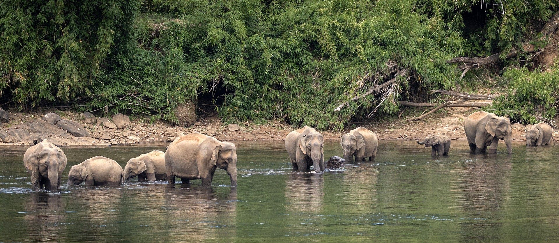 Tesoros del sur de la India