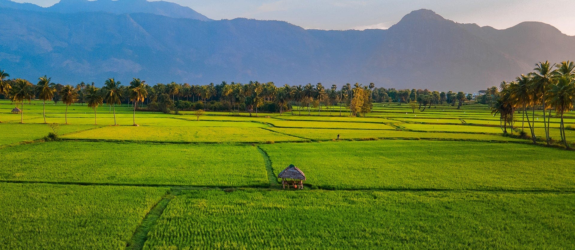 Tesoros del sur de la India
