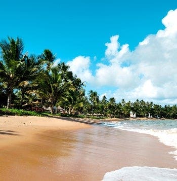 Ciudades y playas doradas