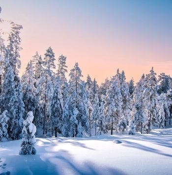 Magia Ártica: aventura invernal en Laponia