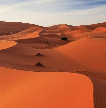 Reinos Nómadas: De Marrakech al Sahara