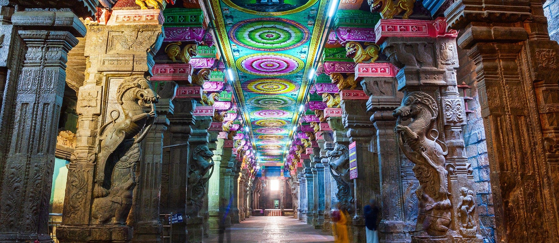 Tesoros de India: de Delhi a Kerala