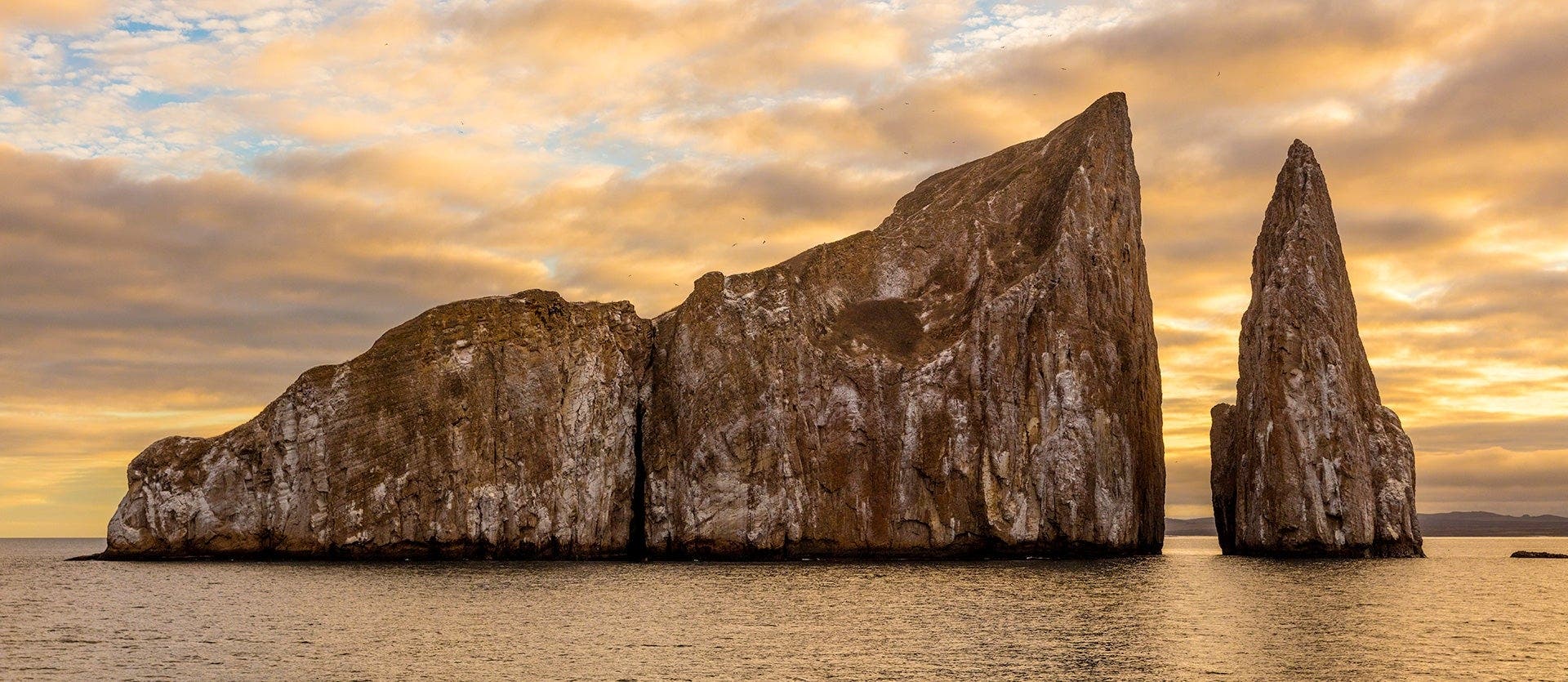 De la selva amazónica a las Galápagos
