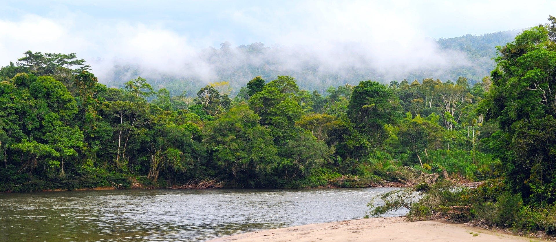 De la selva amazónica a las Galápagos
