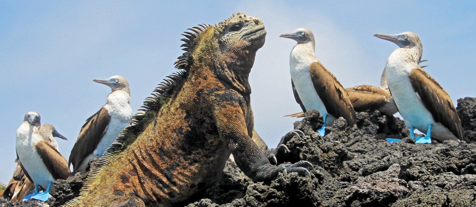 De la selva amazónica a las Galápagos