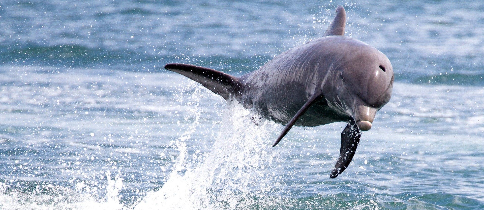 Islas y Ciudad: la magia de Panamá