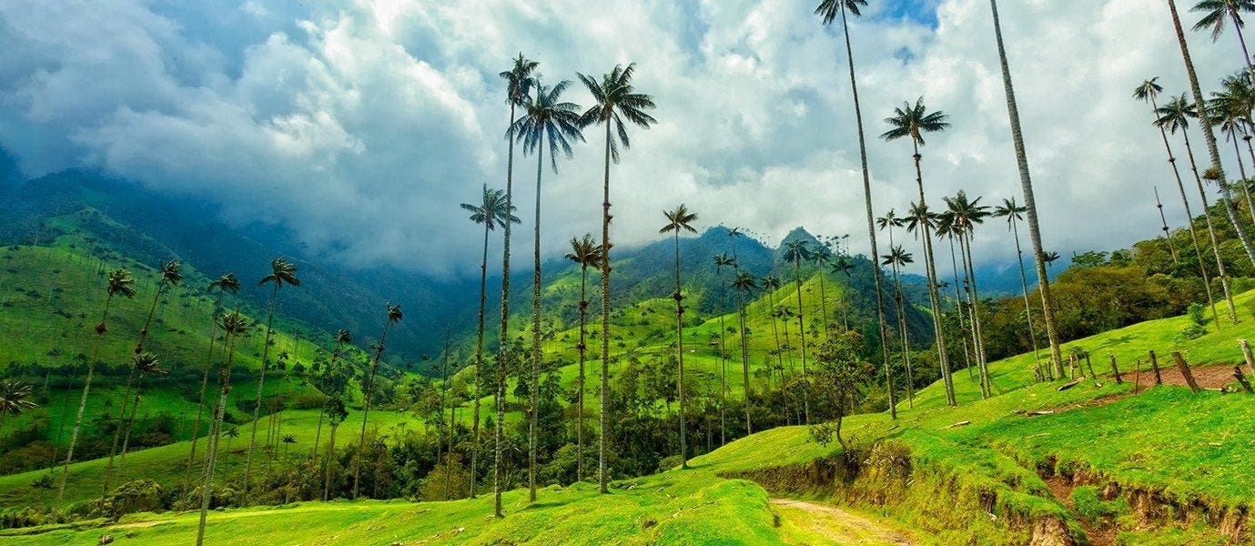 Encantos coloniales y costa caribeña