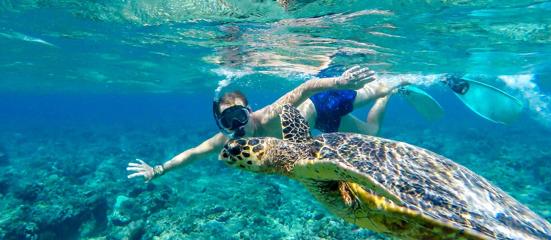 De Java a Gili: lo mejor de Indonesia