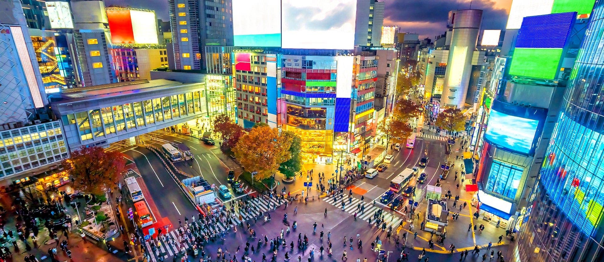 Tesoros de Japón: Una experiencia 360°