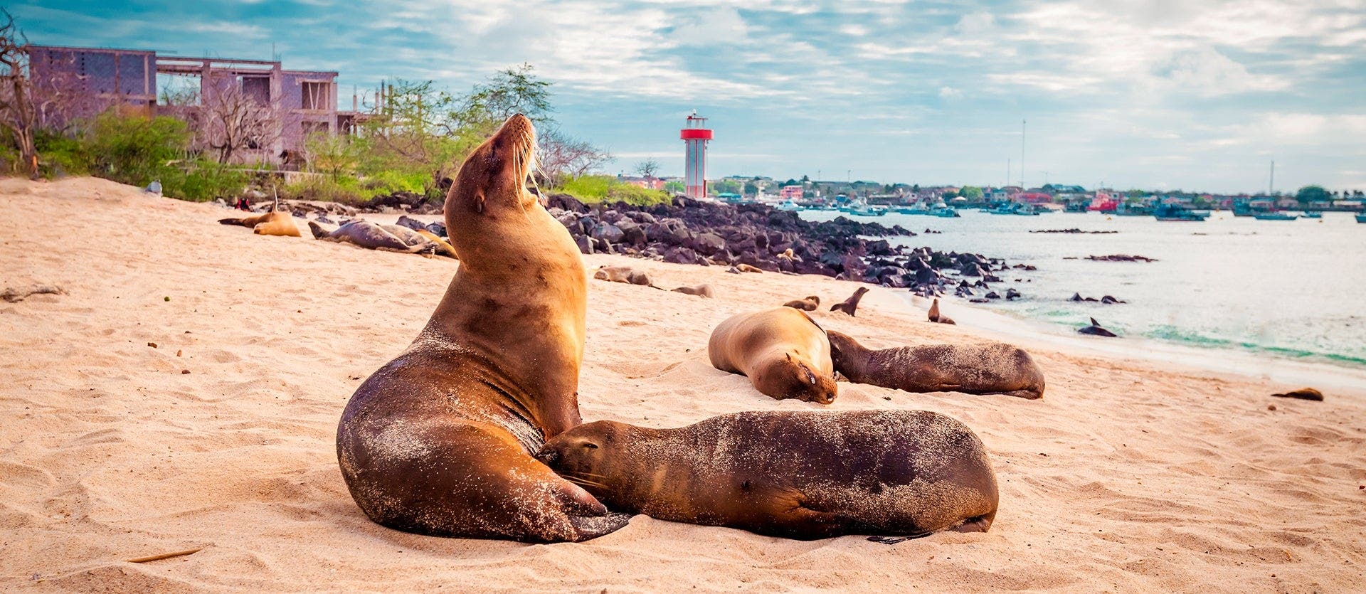 Expedición Galápagos con isla Isabela
