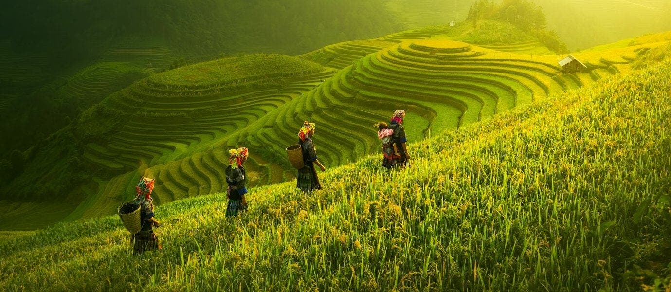 Aldeas, tribus y arrozales de Sapa