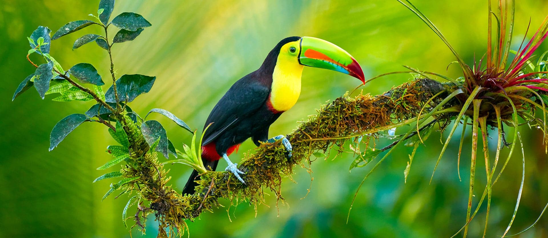 Costa Rica, l’expérience complète