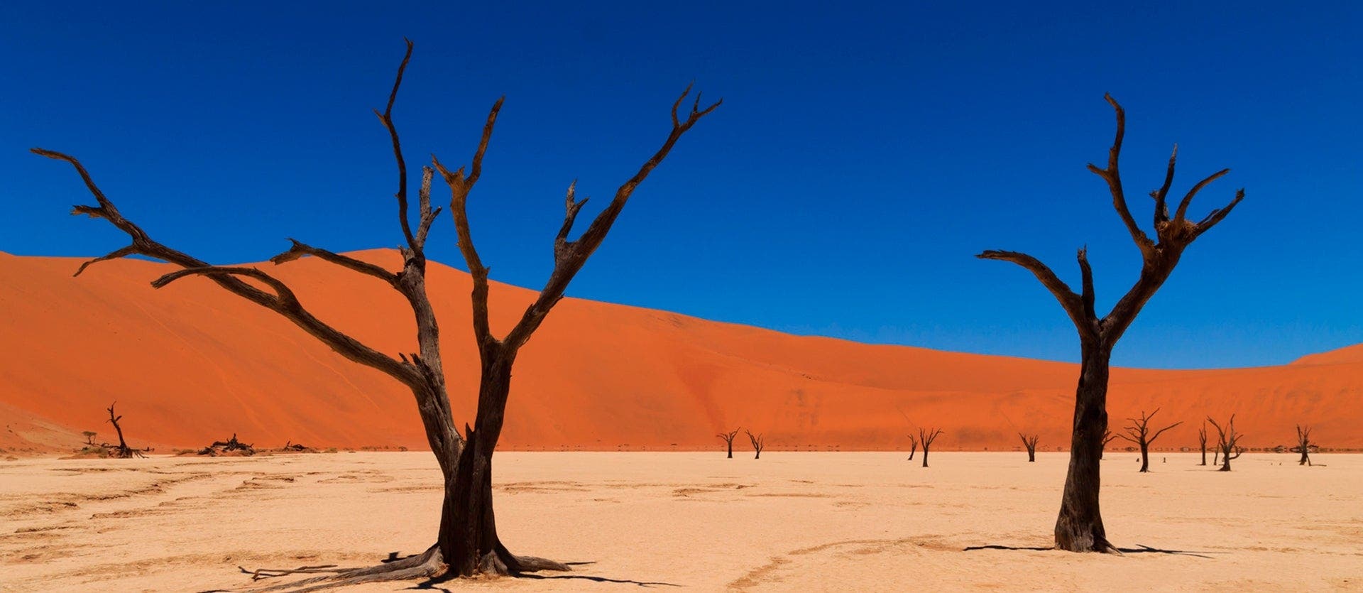 Safaris, dunas y montañas Naukluft