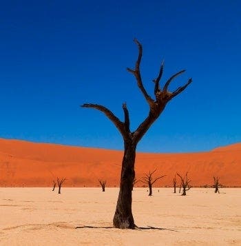 Safaris, dunas y montañas Naukluft