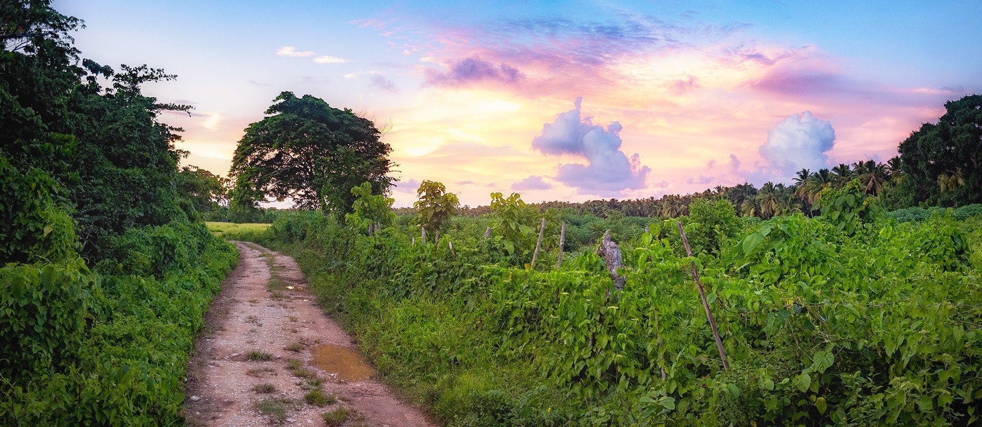 Escapade en formule tout compris à Samaná